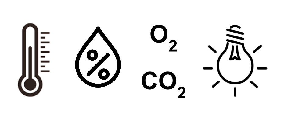 Тест: подходит ли тебе удаленка (не фриланс!)? - 13 image