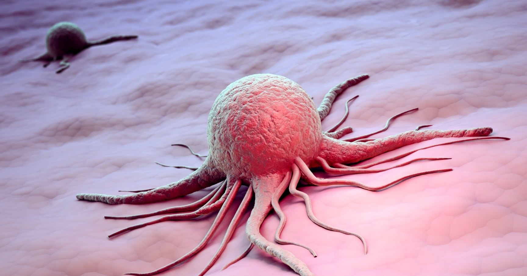Выяснены причины живучести раковых клеток