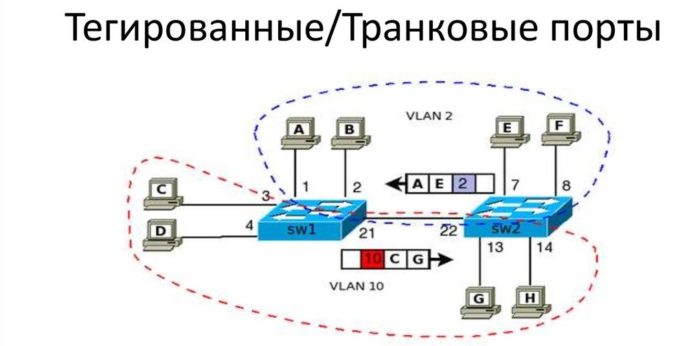 Как зависит перевод термина trunk от вендора коммутаторов? - 9