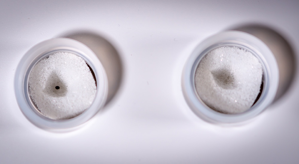 Как начать жить и выращивать салат - 10 Как начать жить и выращивать салат - 10