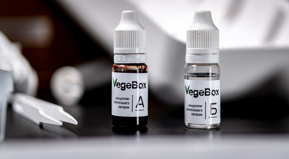 Как начать жить и выращивать салат - 16 Как начать жить и выращивать салат - 16