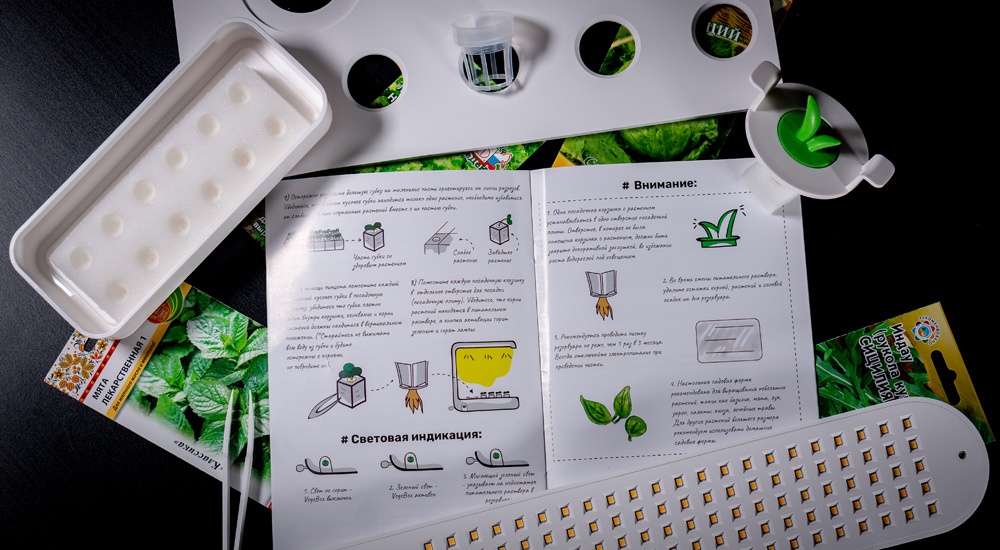 Как начать жить и выращивать салат - 9 Как начать жить и выращивать салат - 9