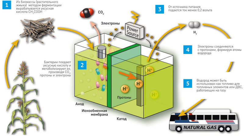 Справочная: как работают водородные автомобили и когда они появятся на дорогах - 3