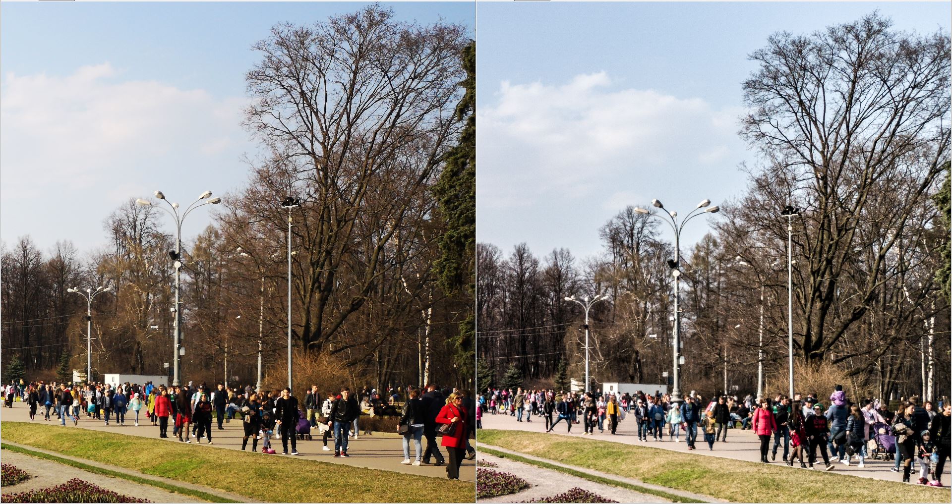 Сравнение качества фотографий, сделанных на телефоны с различной конфигурацией сенсоров - 10