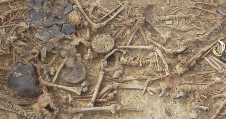 В древней могиле обнаружены свидетельства кровавой резни