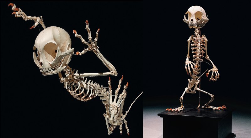 Том и Джерри после смерти: скелеты мультяшных героев