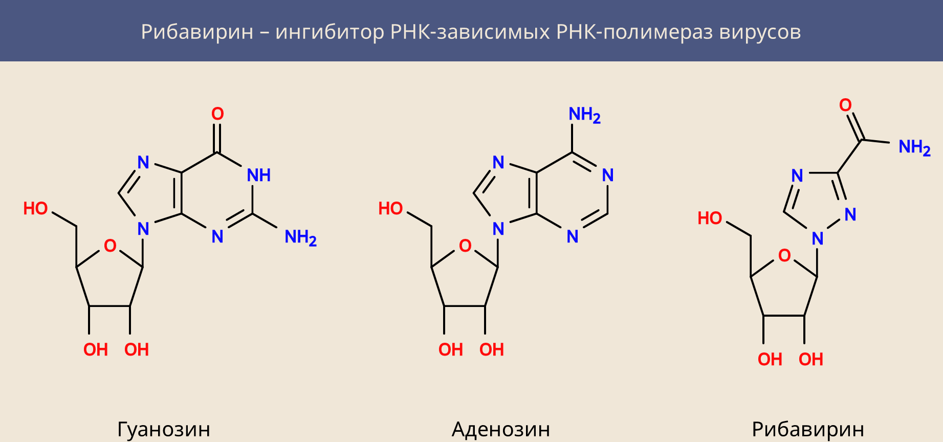 Рибавирин механизм. Рибавирин структура. Рибавирин механизм действия схема. Механизм действия рибавирина.