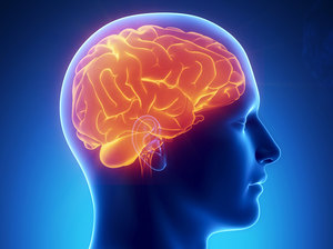 Опыты на людях: как исследуют человеческий мозг