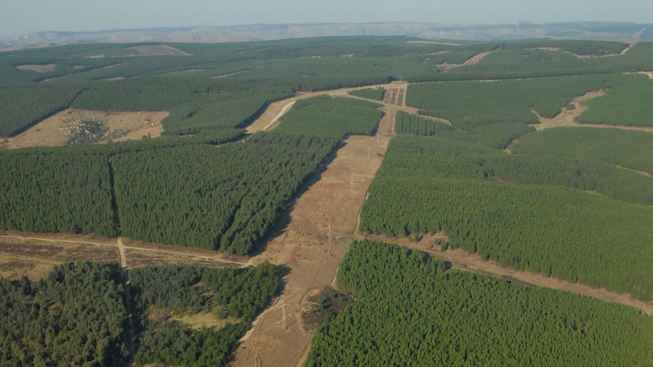 Сложные системы. Выход на критический уровень - 6 Сложные системы. Выход на критический уровень - 6