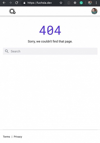 Сайт Google для операционной системы Fuchsia ненадолго появился в сети