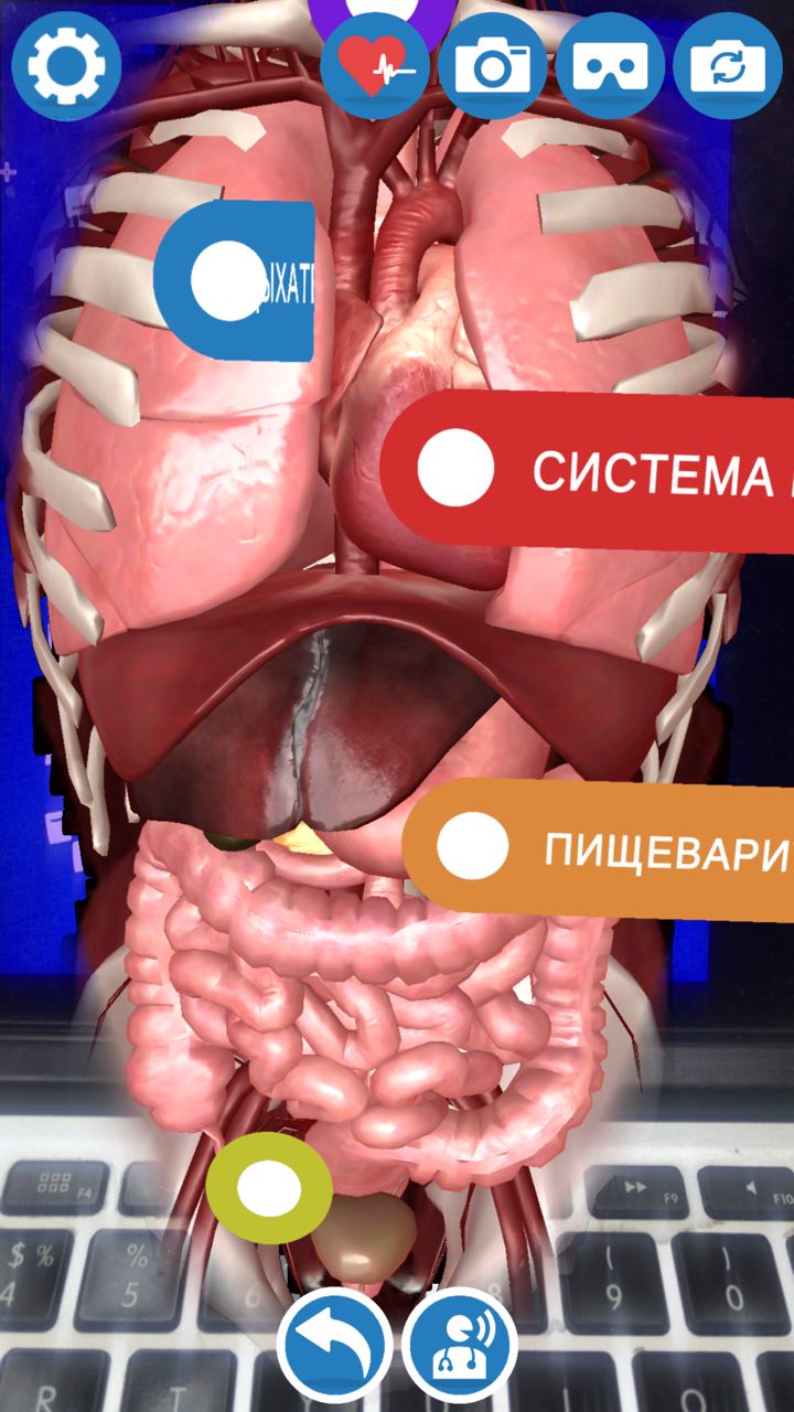 Virtuali-tee: «медицинская футболка», которая не прикрывает, а обнажает - 3