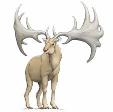 Нужна ли людям математика? - 5 Нужна ли людям математика? - 5