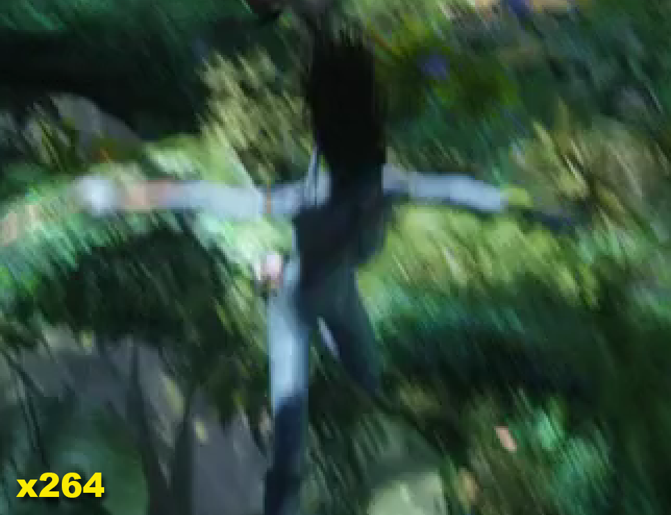 Уличная магия сравнения кодеков. Раскрываем секреты - 23 Уличная магия сравнения кодеков. Раскрываем секреты - 23