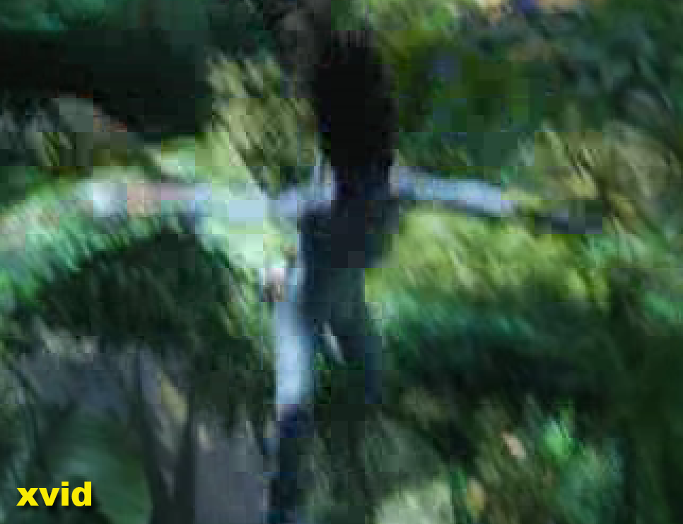 Уличная магия сравнения кодеков. Раскрываем секреты - 24 Уличная магия сравнения кодеков. Раскрываем секреты - 24