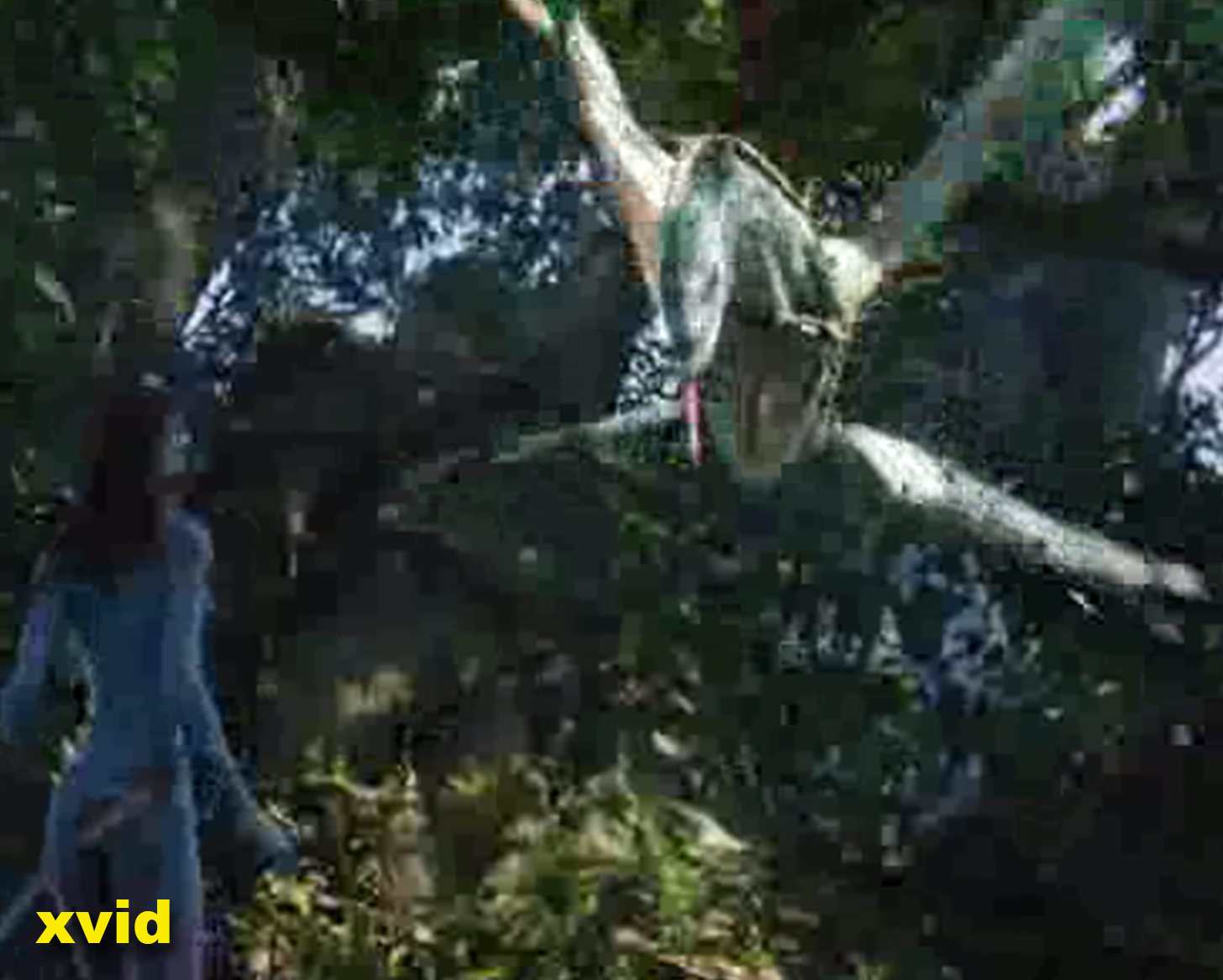 Уличная магия сравнения кодеков. Раскрываем секреты - 28 Уличная магия сравнения кодеков. Раскрываем секреты - 28