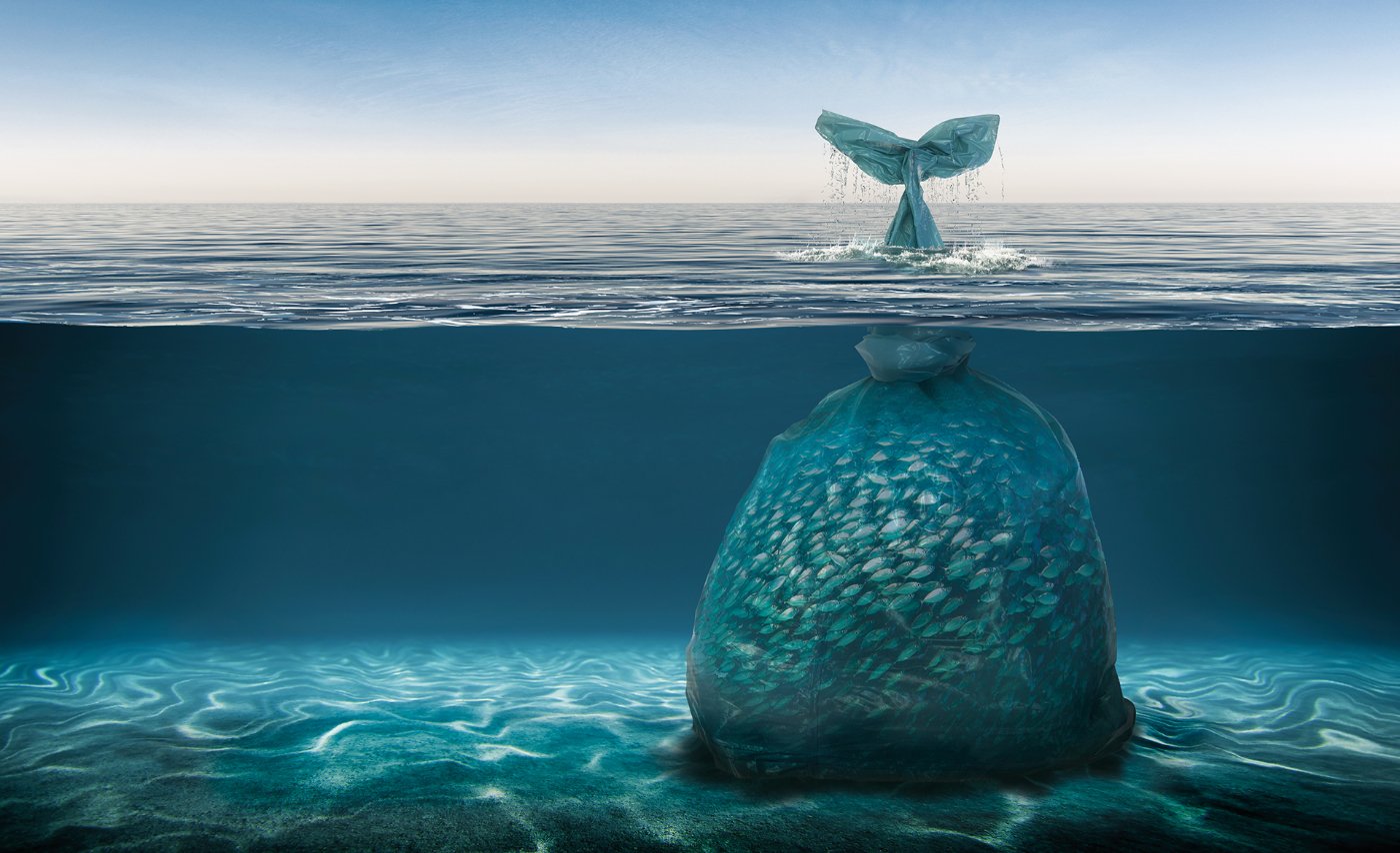 Пластиковые волны: экологическая катастрофа Мирового океана - 13