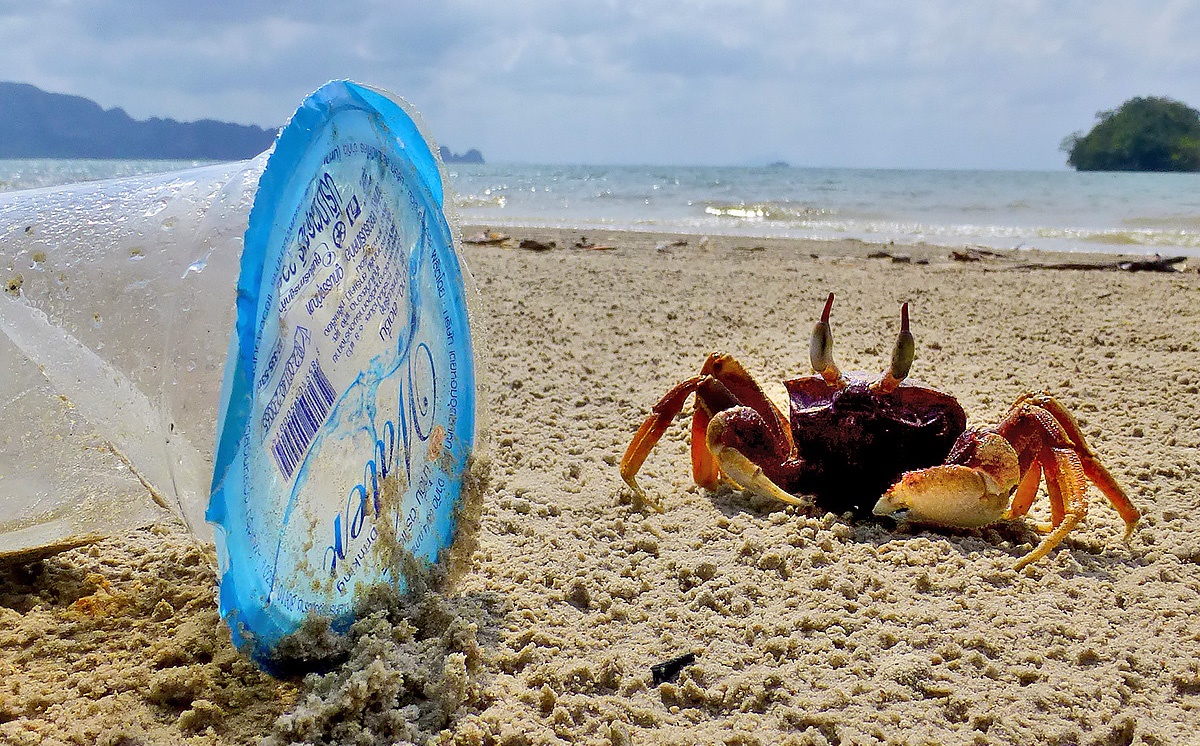 Пластиковые волны: экологическая катастрофа Мирового океана - 3