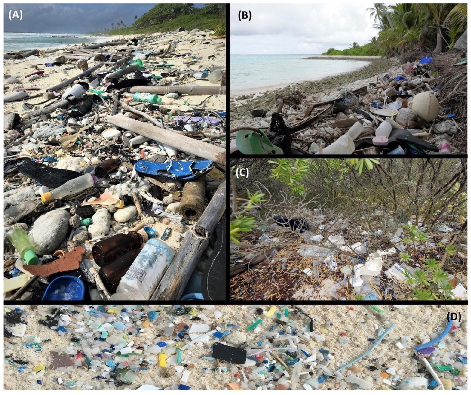 Пластиковые волны: экологическая катастрофа Мирового океана - 6