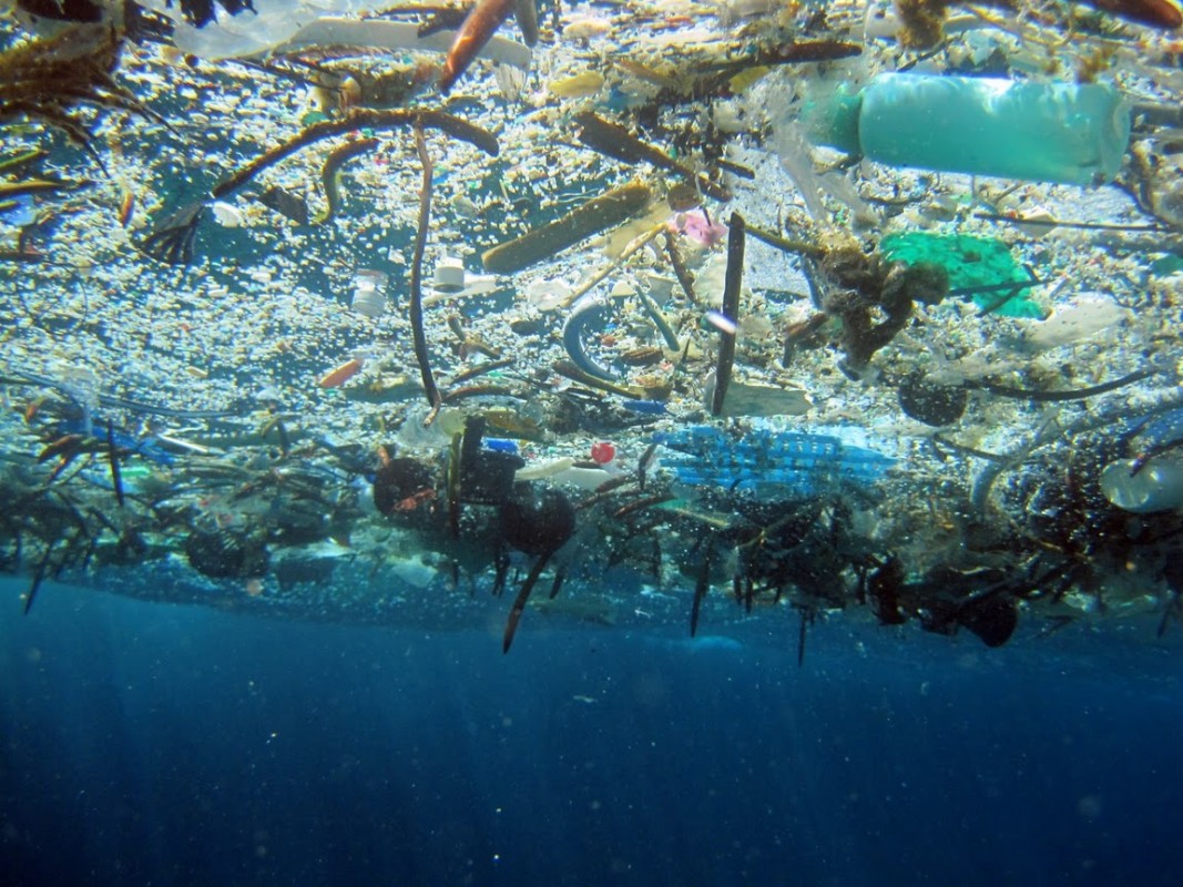 Пластиковые волны: экологическая катастрофа Мирового океана - 9