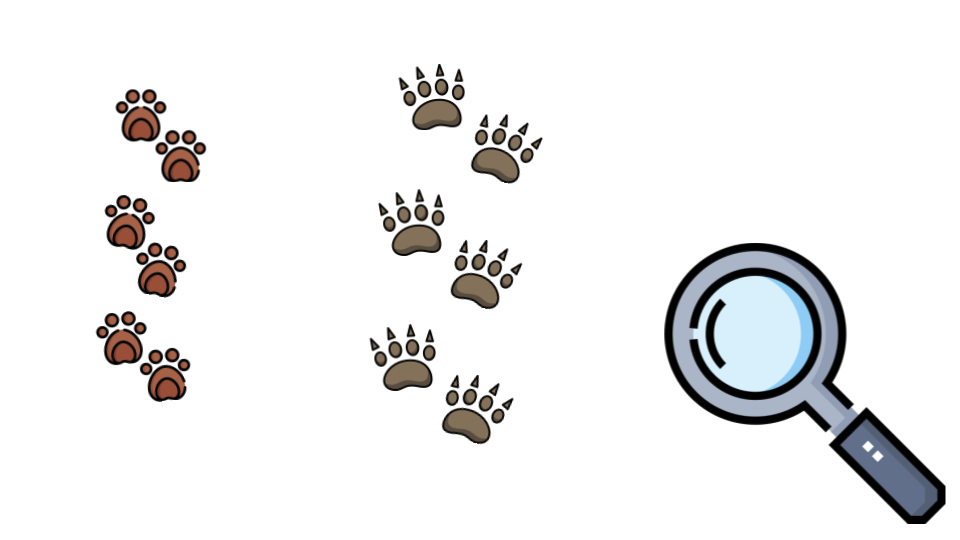 Performance Review и выявление тайного знания (обзор и видео доклада) - 10 Performance Review и выявление тайного знания (обзор и видео доклада) - 10