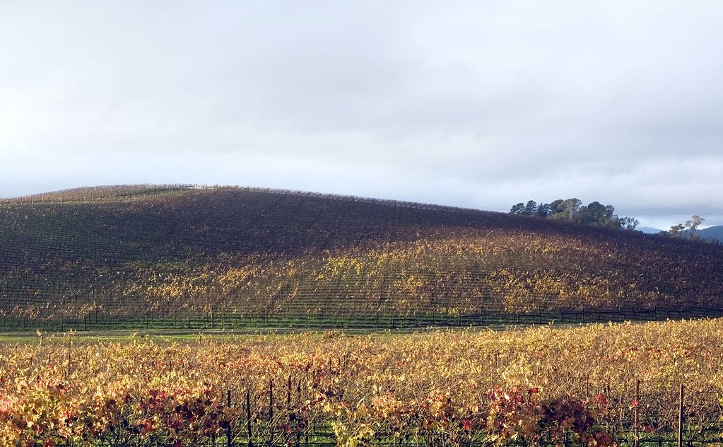 Что за музыка была «зашита» в популярных ОС: кейс Windows - 2 Что за музыка была «зашита» в популярных ОС: кейс Windows - 2