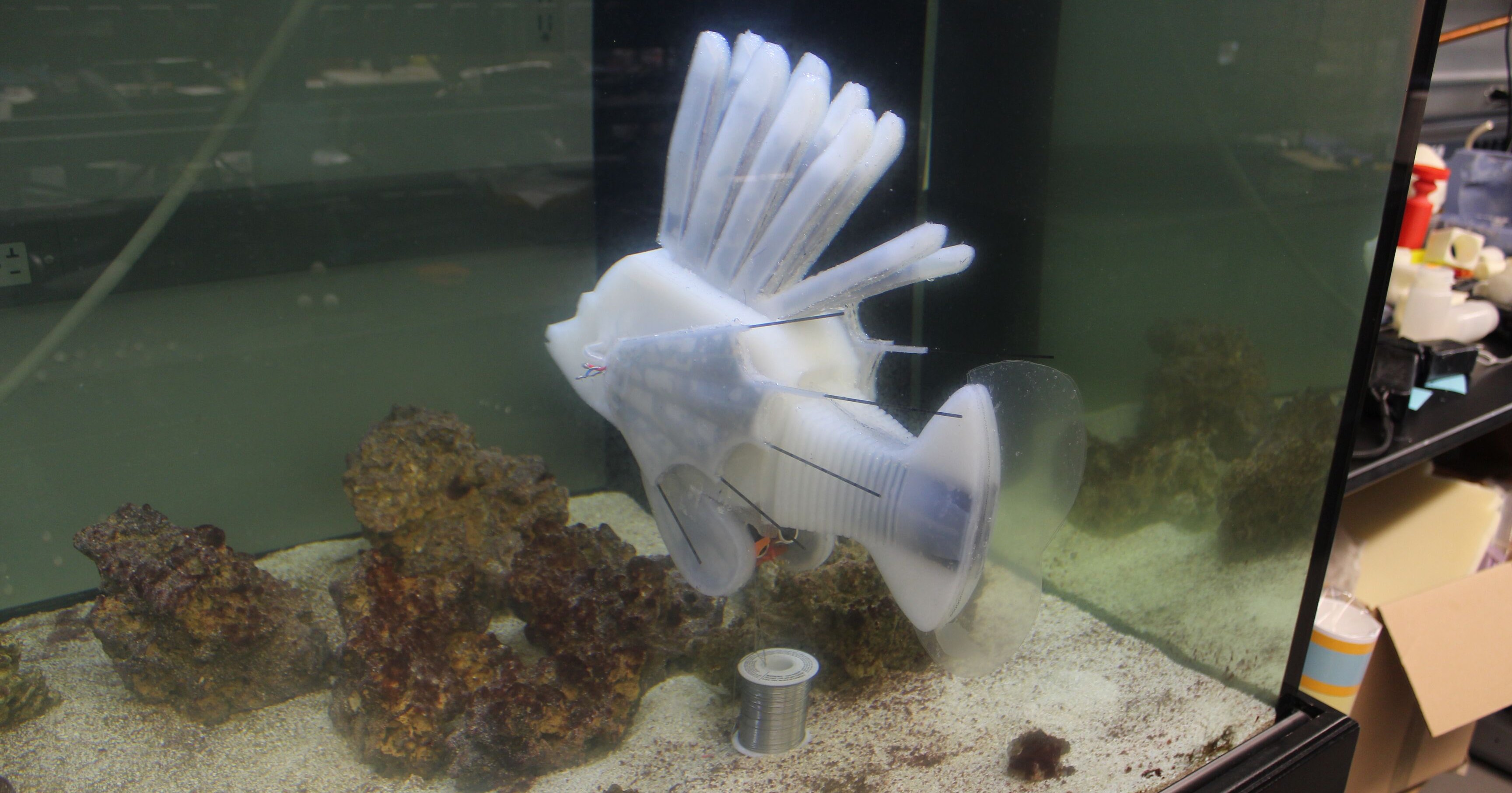Создан робот-рыба с собственной кровеносной системой