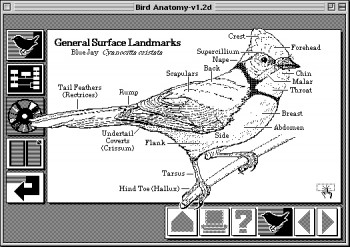 HyperCard, потерянное звено в эволюции Веба - 3