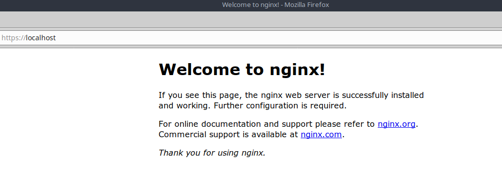 Двухфакторная аутентификация на сайте с использованием USB-токена. Теперь и для Linux - 10 Двухфакторная аутентификация на сайте с использованием USB-токена. Теперь и для Linux - 10
