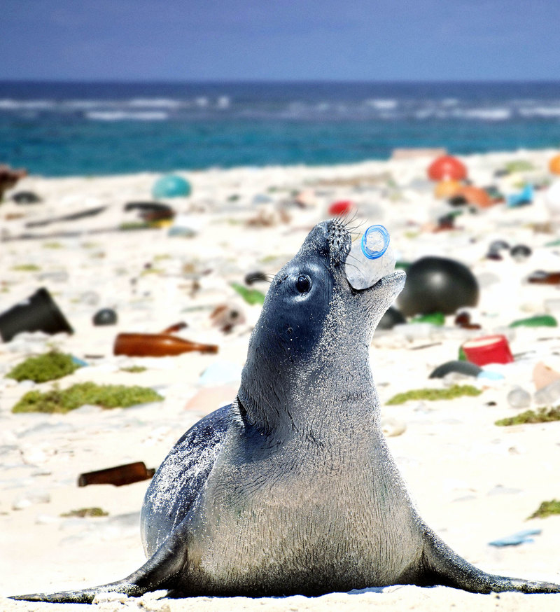 Пластик в океане, или как человек разрушает природу: фото