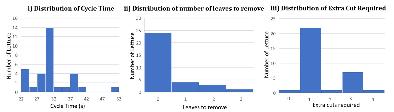 Агро-робот с ИИ научился аккуратно собирать с грядки только созревший салат - 33
