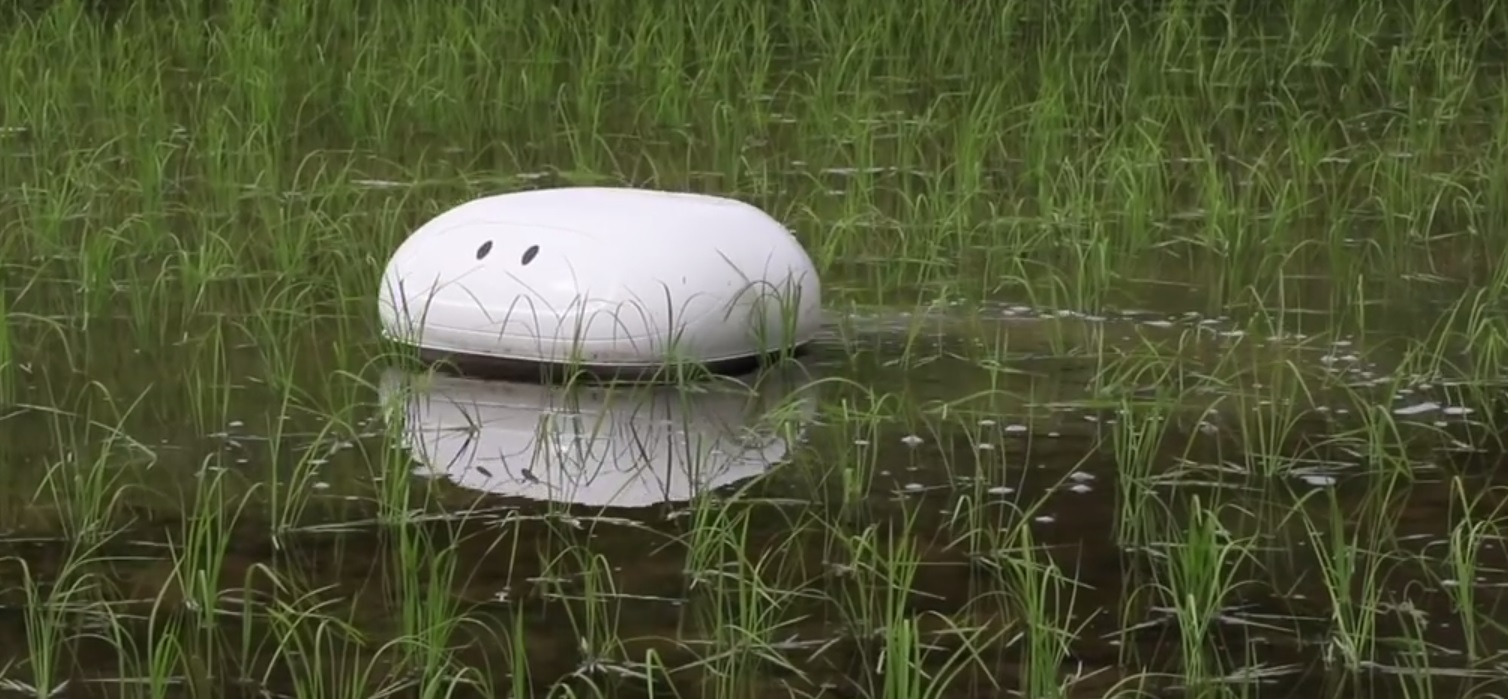 Утко-робот мутит воду на рисовых полях - 1