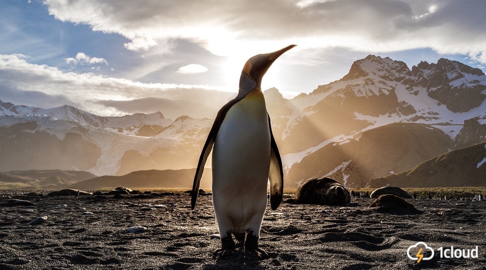 Исследование: Linux — все еще самая популярная ОС в облаке - 1 Исследование: Linux — все еще самая популярная ОС в облаке - 1