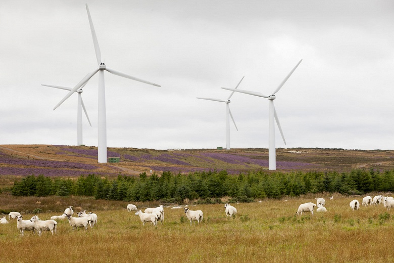 Ветряные электростанции Шотландии вдвое перекрывают потребности страны, если говорить только о питании домохозяйств