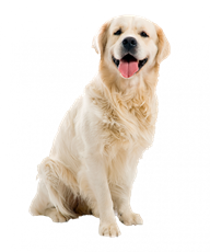 Внедрение DLP-системы на примере ритейла - 8 Внедрение DLP-системы на примере ритейла - 8