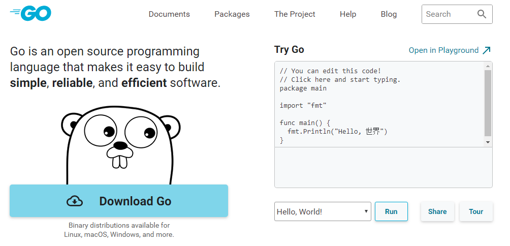 Разработчики предложили убрать логотип Google с главной страницы Golang - 1 Разработчики предложили убрать логотип Google с главной страницы Golang - 1