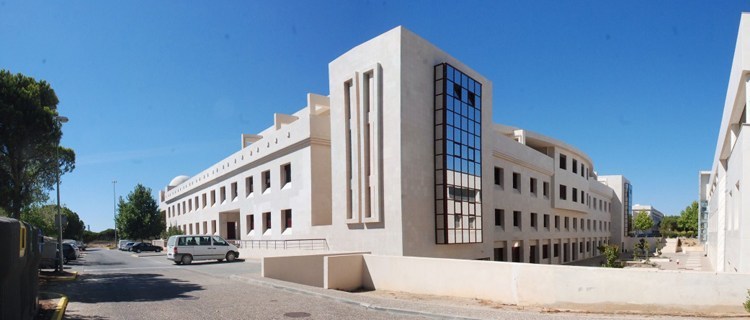 Universidade de Algarve