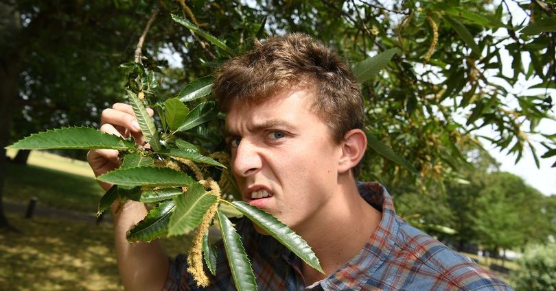Почему на улицах Лондона так сильно пахнет спермой Почему на улицах Лондона так сильно пахнет спермой