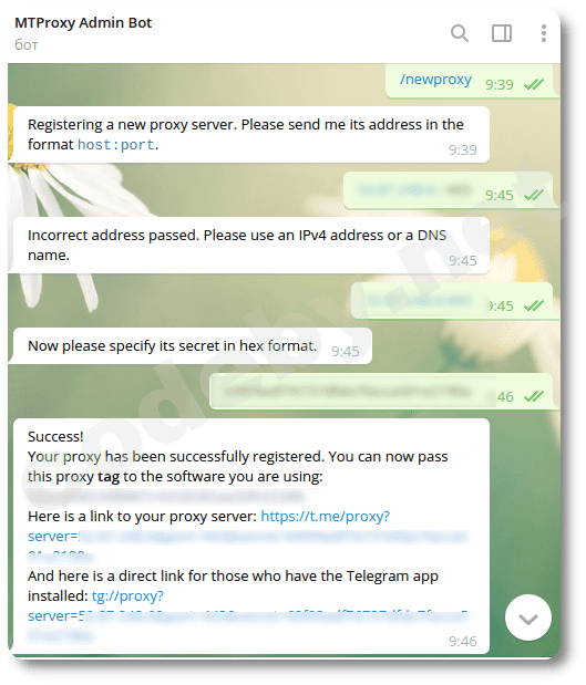 Развёртывание своего MTProxy Telegram со статистикой - 4