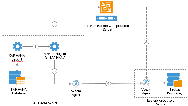 Плагин Veeam для бэкапа и восстановления баз данных SAP HANA - 2