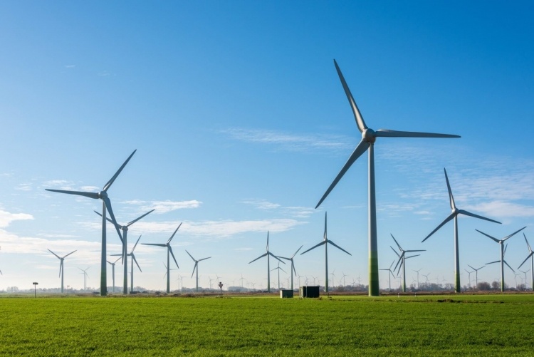 Amazon объявила о двух новых проектах в области возобновляемых источников энергии в США и ЕС