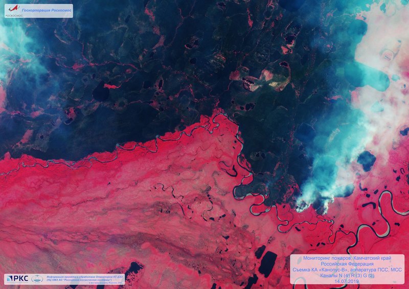 Пылающая Сибирь: почему горят леса и каков масштаб катастрофы