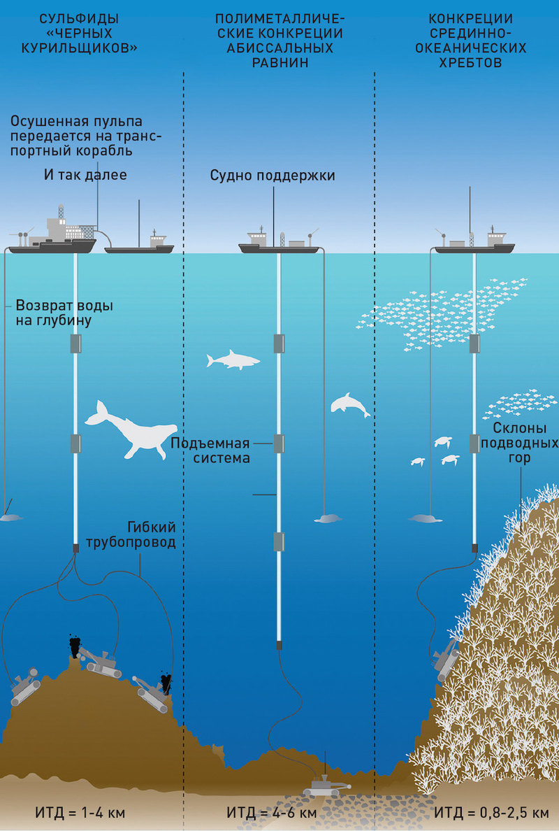 Кладези царя морского: какие ресурсы спрятаны на дне океанов