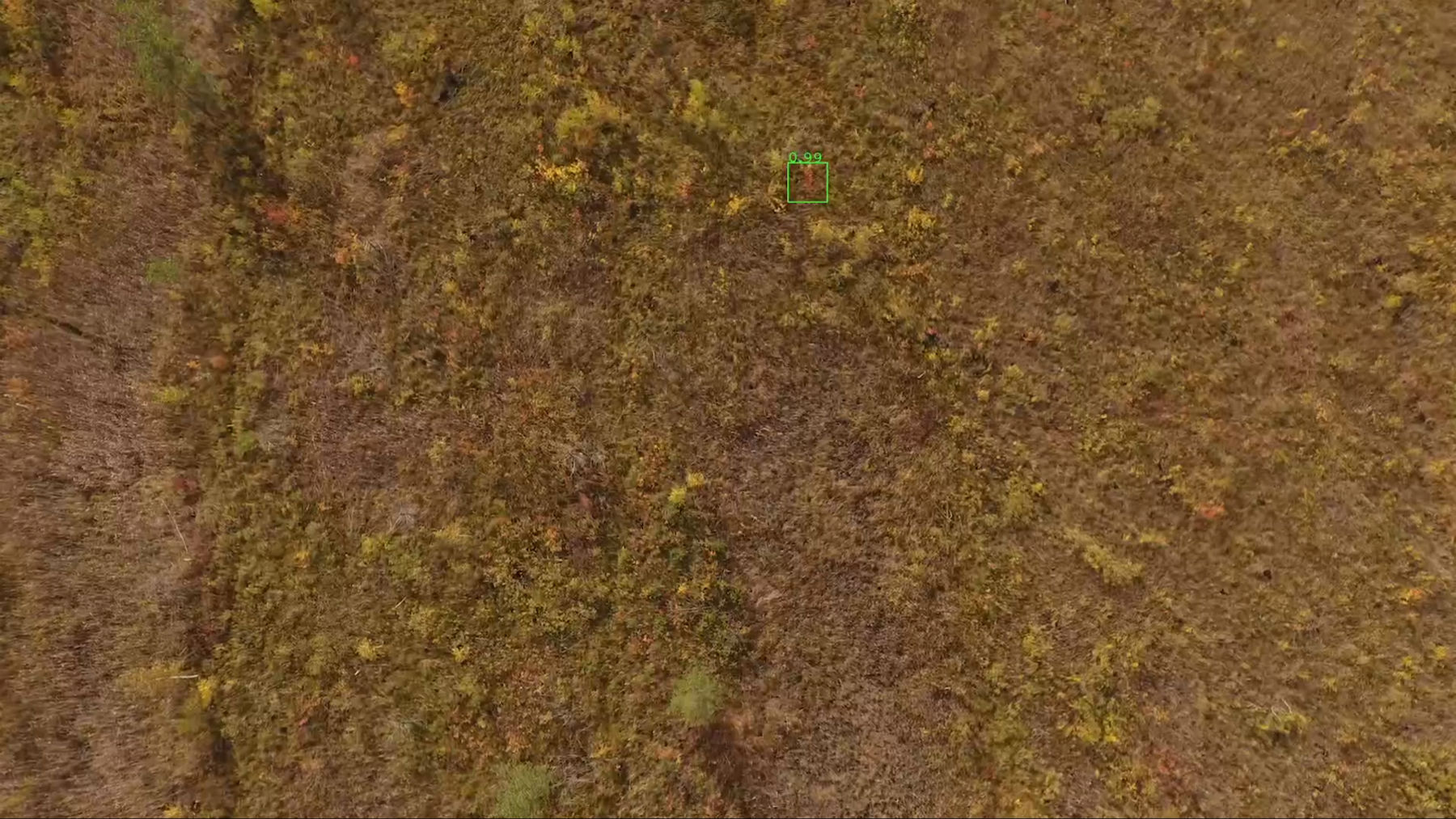 Лес не сдается технологиям поиска, но инженеры наносят ответный удар - 2 Лес не сдается технологиям поиска, но инженеры наносят ответный удар - 2