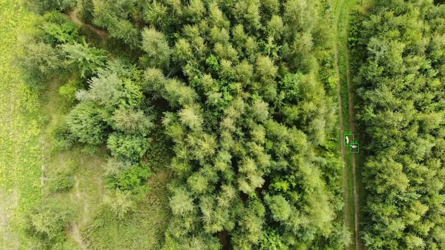 Лес не сдается технологиям поиска, но инженеры наносят ответный удар - 5 Лес не сдается технологиям поиска, но инженеры наносят ответный удар - 5