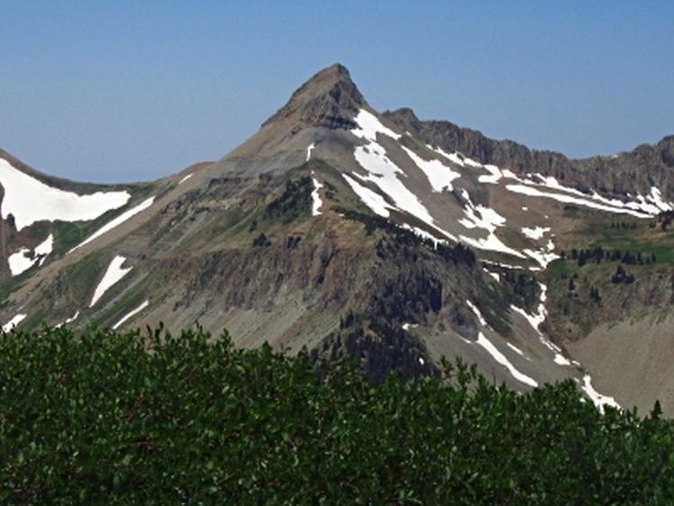 Процессоры AMD Ryzen Threadripper третьего поколения упоминаются под кодовым обозначением Sharktooth