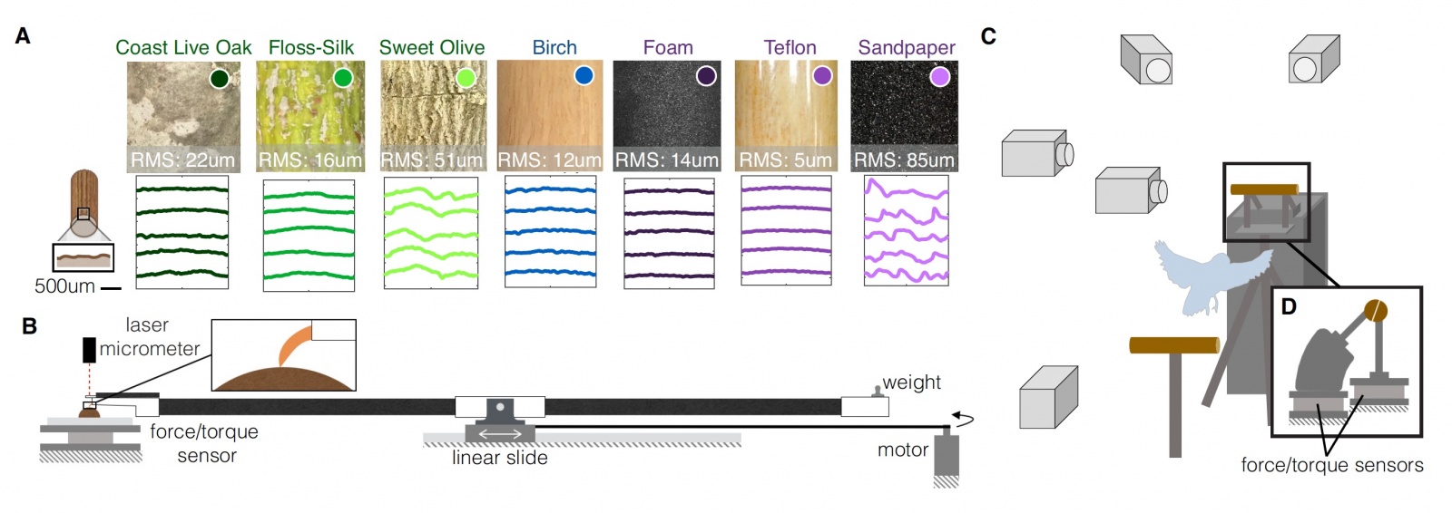 Железная хватка: кинематика приземления птиц в зависимости от геометрии и текстуры поверхности - 4 Железная хватка: кинематика приземления птиц в зависимости от геометрии и текстуры поверхности - 4