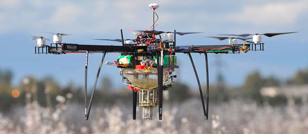 Про пчёл-гедонистов, то, как люди заставляют их работать и дроны - 6 Про пчёл-гедонистов, то, как люди заставляют их работать и дроны - 6