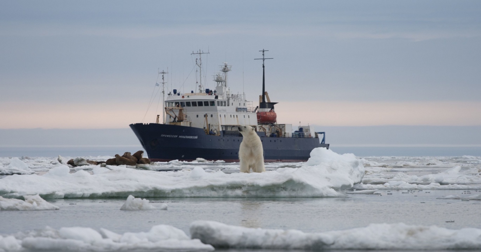 В Карском море найден термоклин