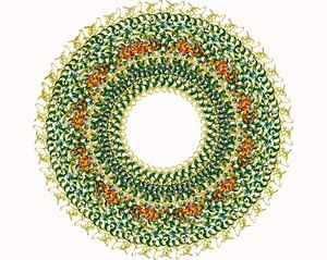 Вся правда о прививках: нужно ли делать и как они могут навредить